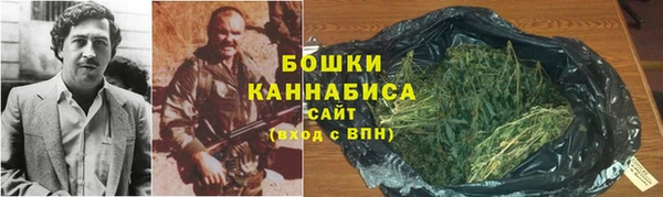 ГАЛЛЮЦИНОГЕННЫЕ ГРИБЫ Алзамай