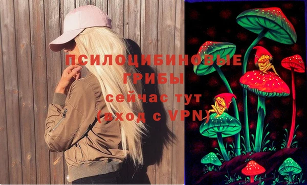 ПСИЛОЦИБИНОВЫЕ ГРИБЫ Алексин